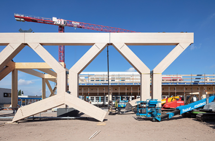 Timber structures placed at King Willem I College